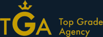 AIG損保　TGA認定代理店